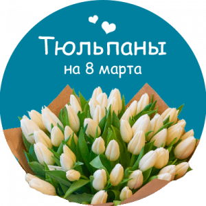 Купить тюльпаны в Бердске